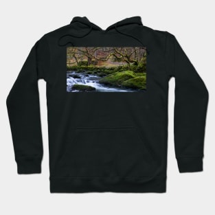 River Rothay Hoodie